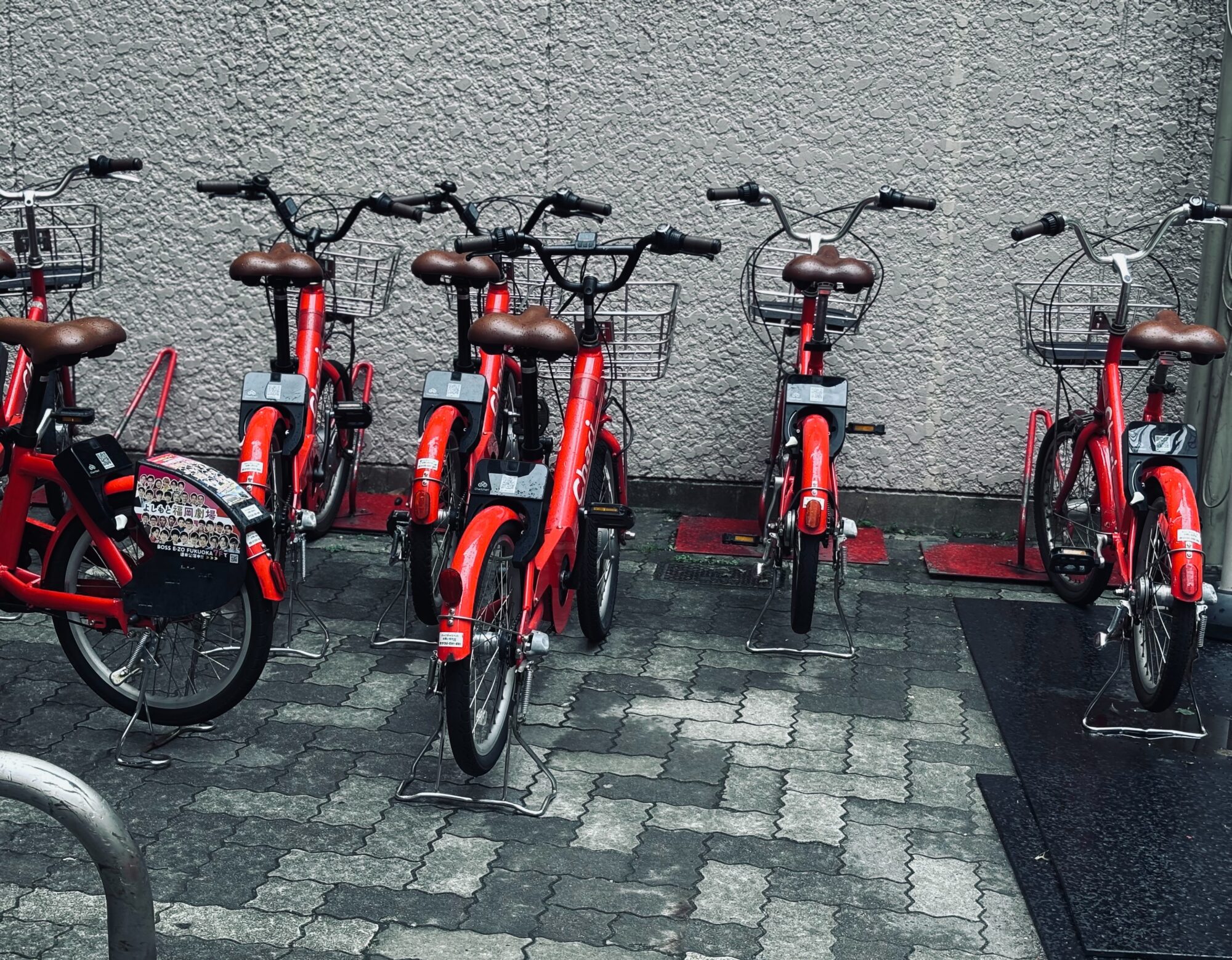 着地しないまま漂う／セメントTHING