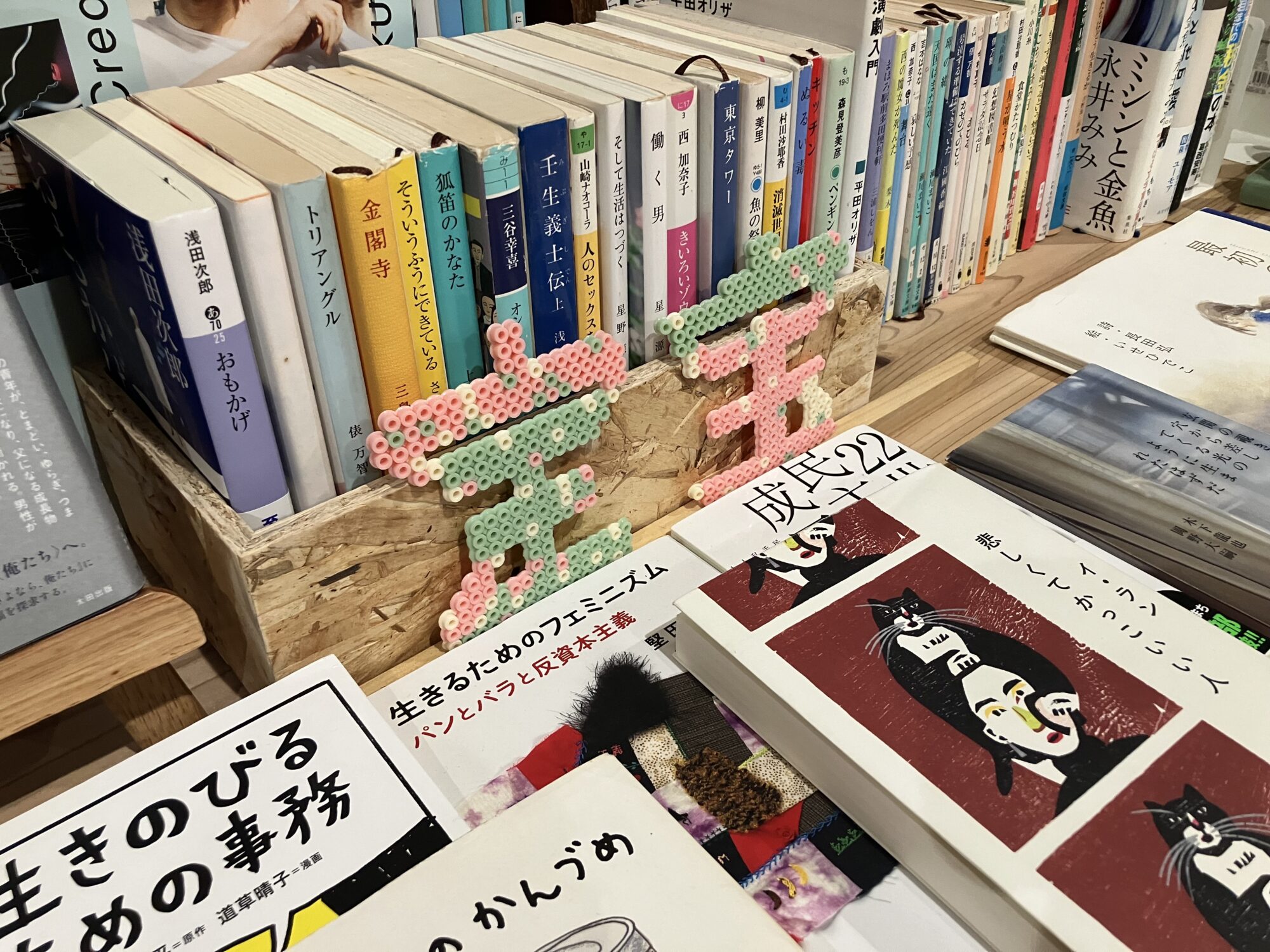 なんーも特別な人間じゃないわたしの、ちょっとだけ特別な一日の日記／中島梓織