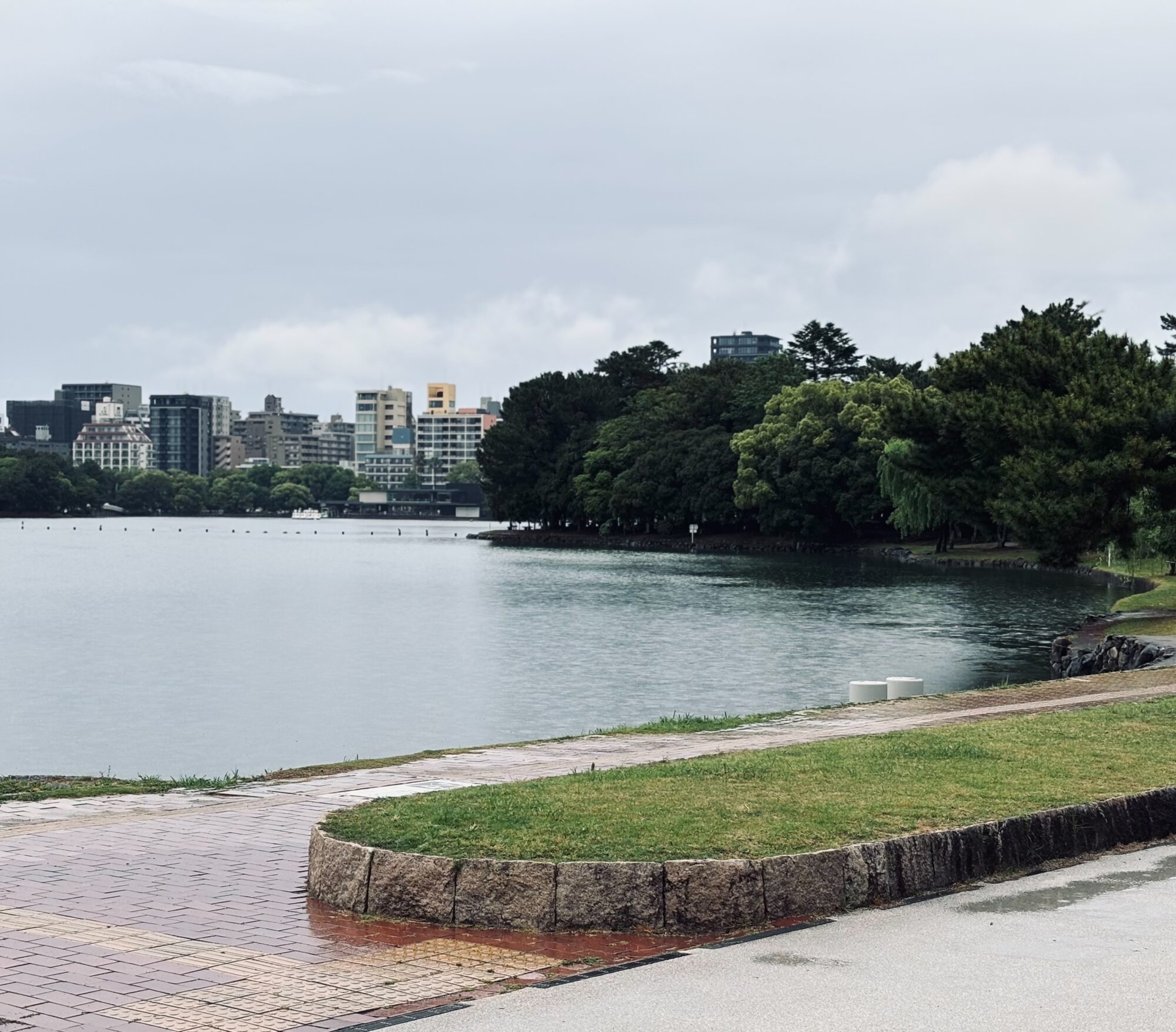 着地しないまま漂う／セメントTHING