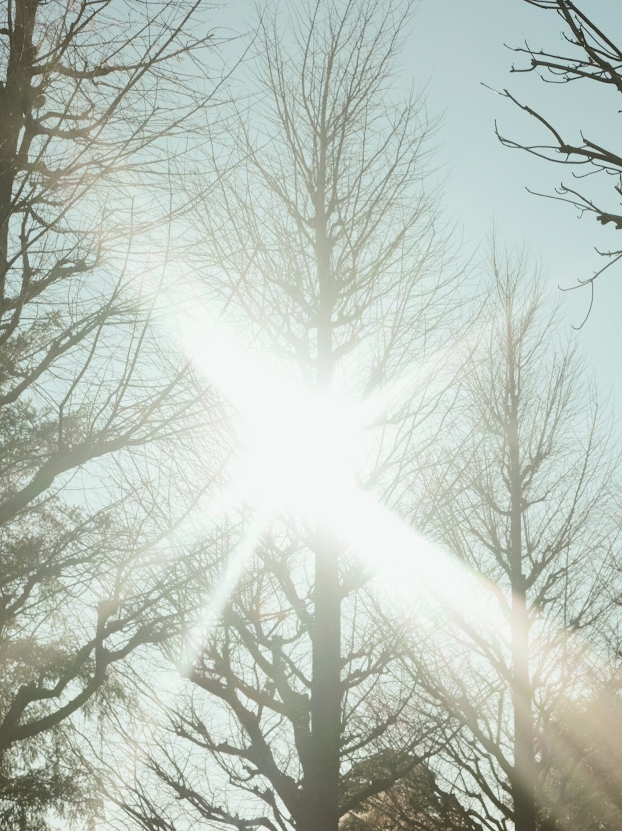 今日ここに着くまで、全部の信号が青で／成定由香沙