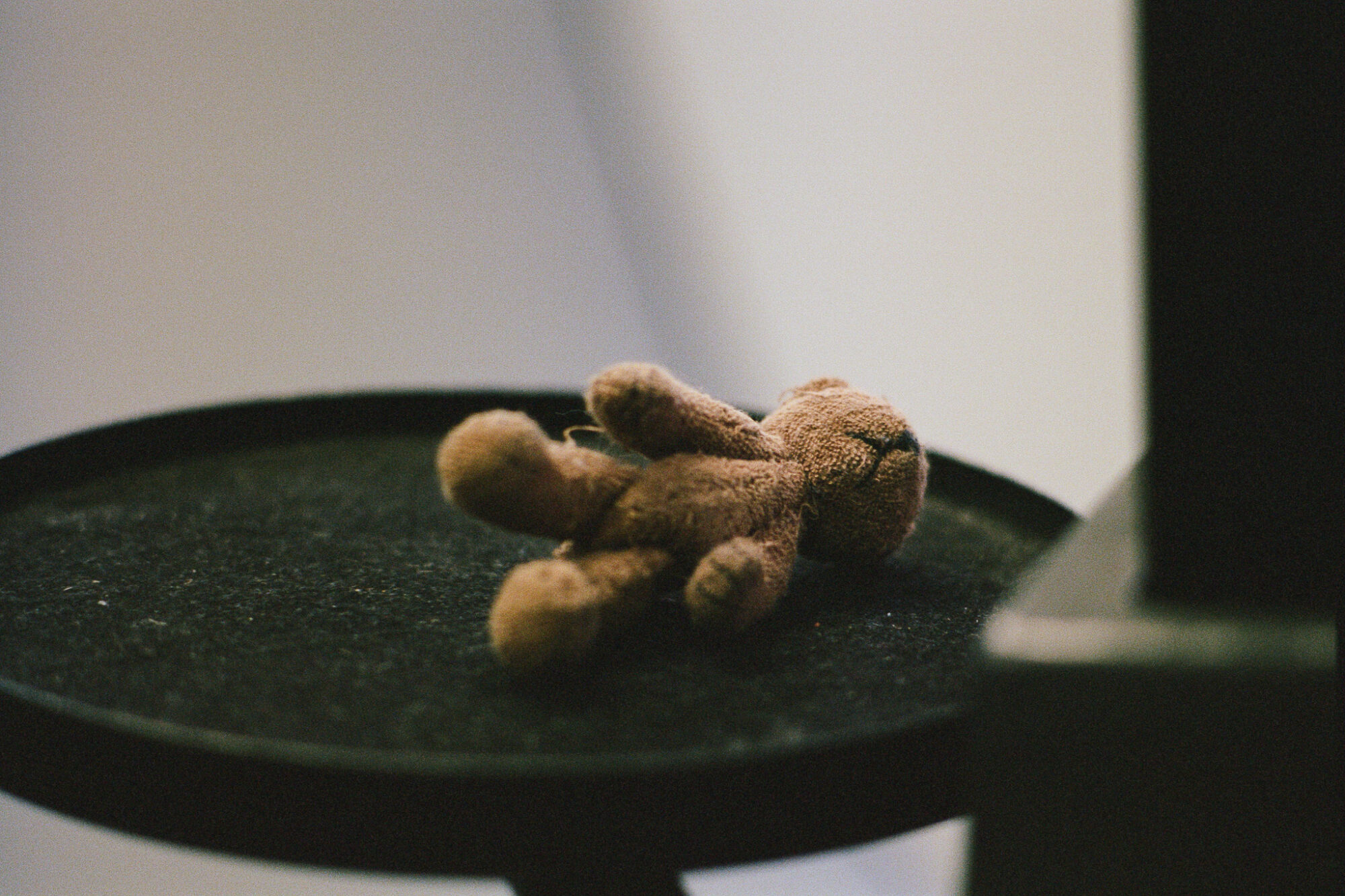 うまくいったことも、失敗も、手元に残る方がいい／井上麻那巳