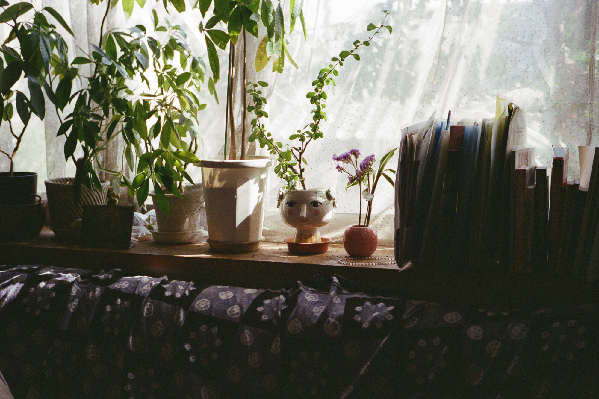 うまくいったことも、失敗も、手元に残る方がいい／井上麻那巳