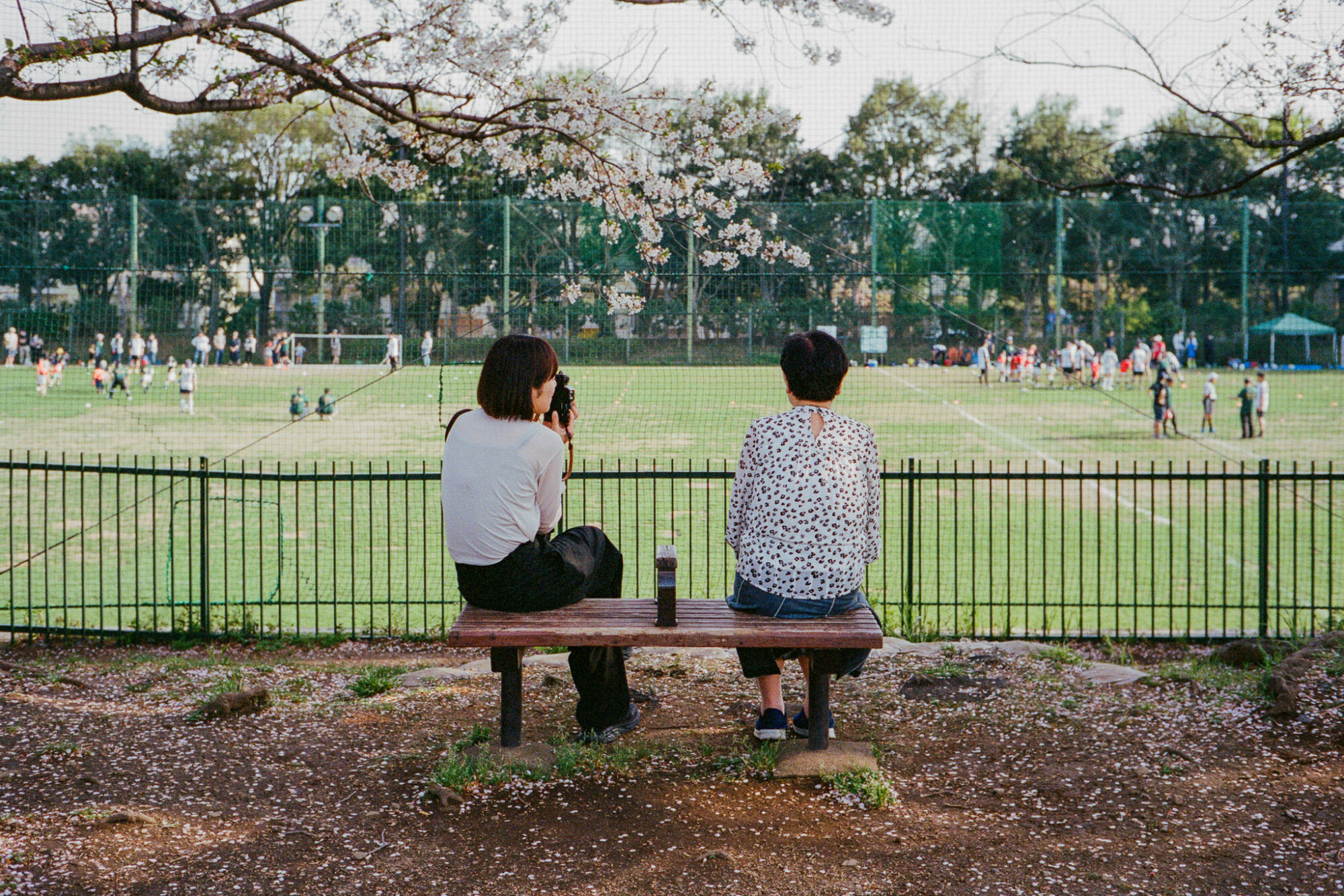 うまくいったことも、失敗も、手元に残る方がいい／井上麻那巳