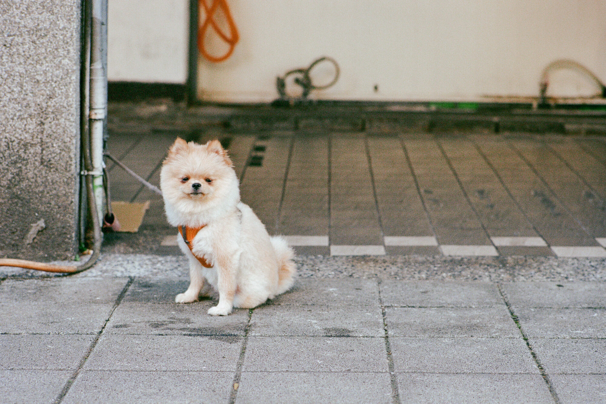 うまくいったことも、失敗も、手元に残る方がいい／井上麻那巳