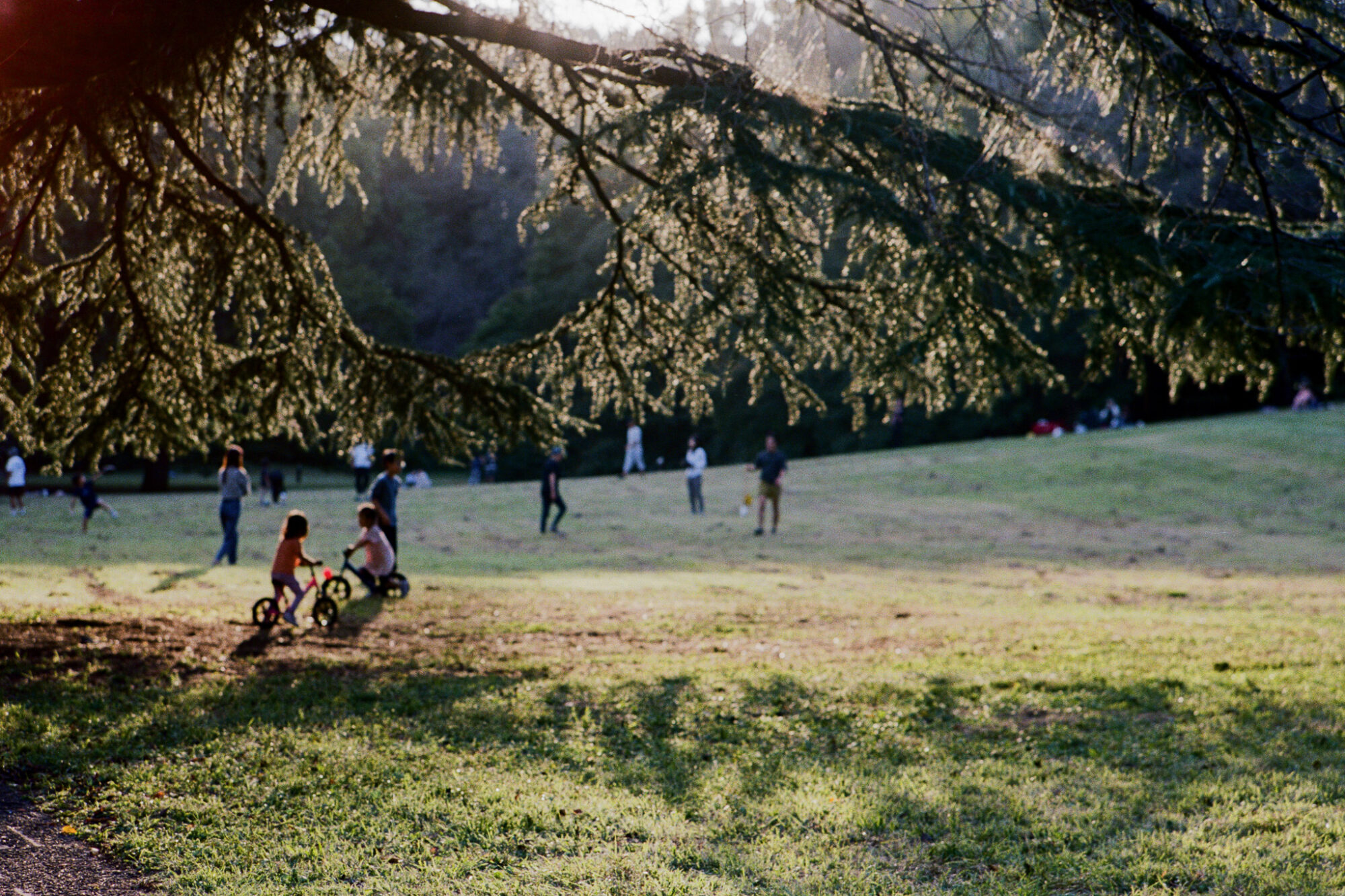 うまくいったことも、失敗も、手元に残る方がいい／井上麻那巳