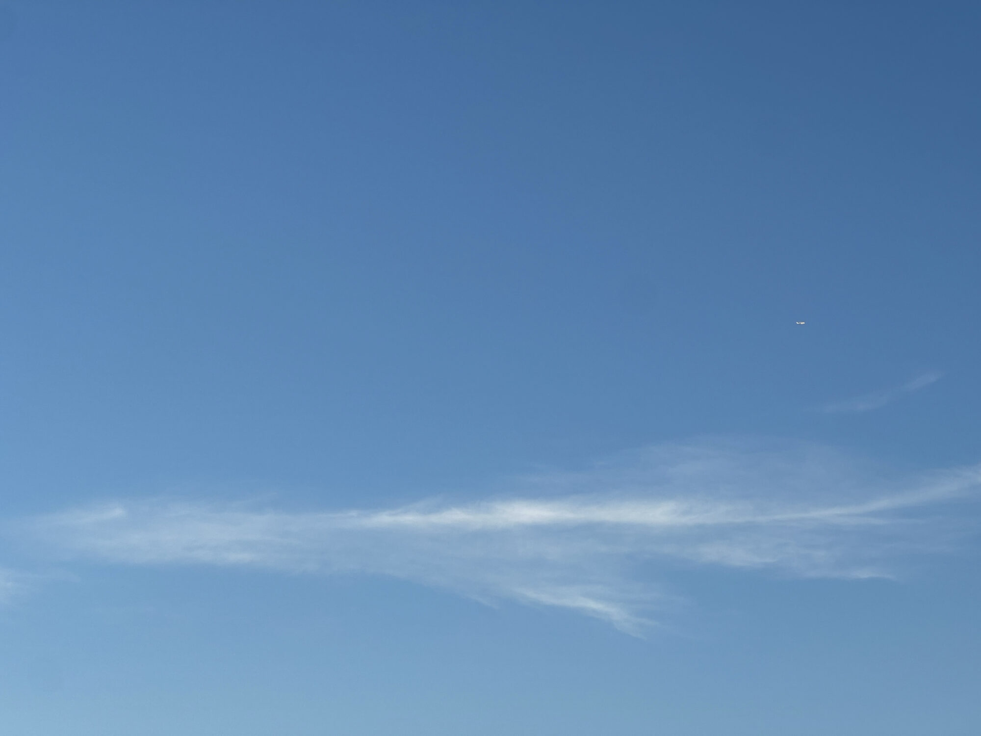 笑い飛ばせる未来を願う／スクリプカリウ落合安奈