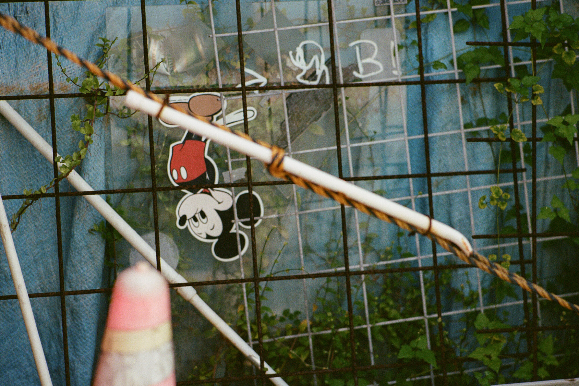 うまくいったことも、失敗も、手元に残る方がいい／井上麻那巳