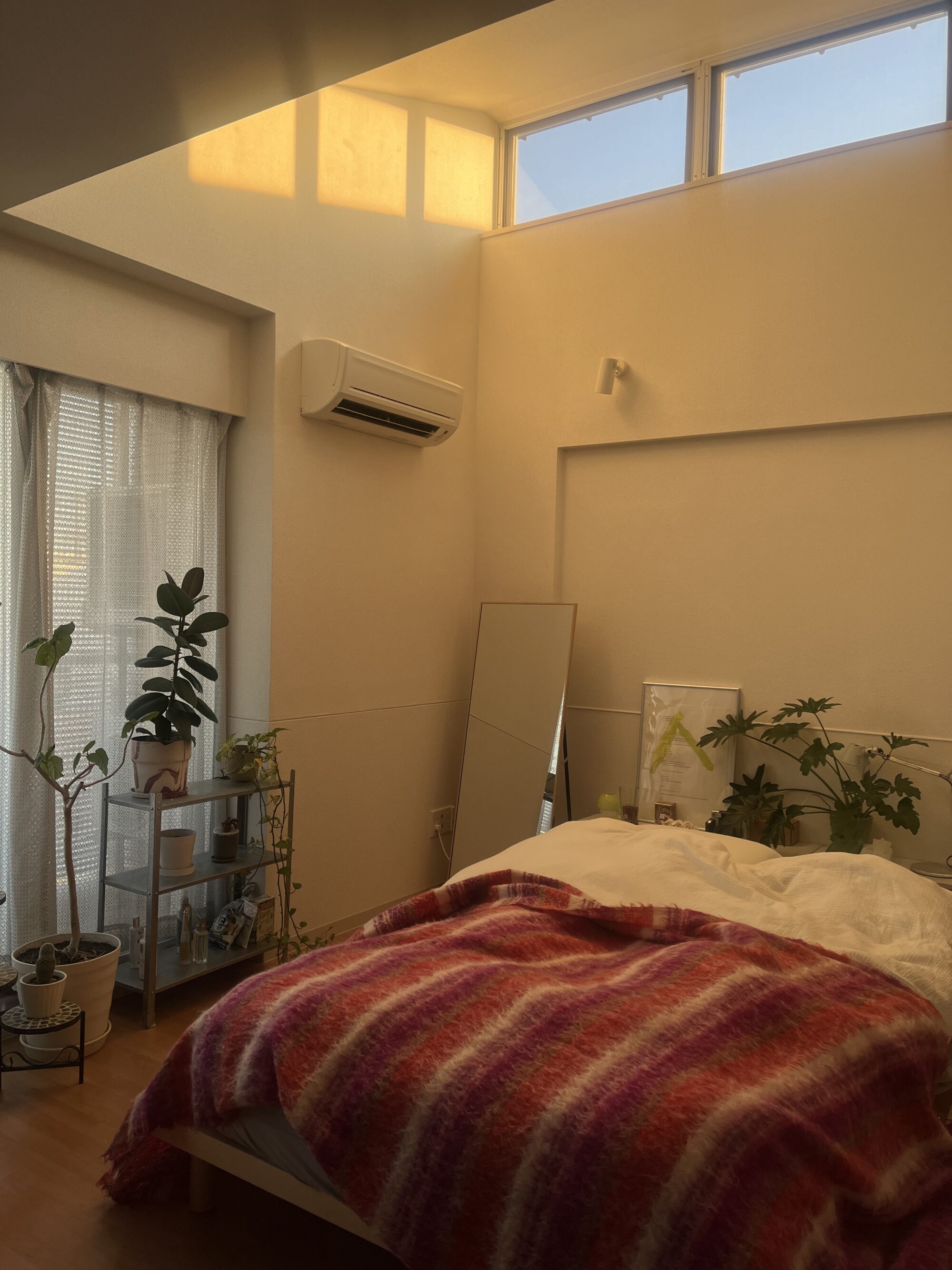 季節のめぐりがわかる天窓がある部屋で、彼女と二人で暮らす。岩崎はなえの暮らし