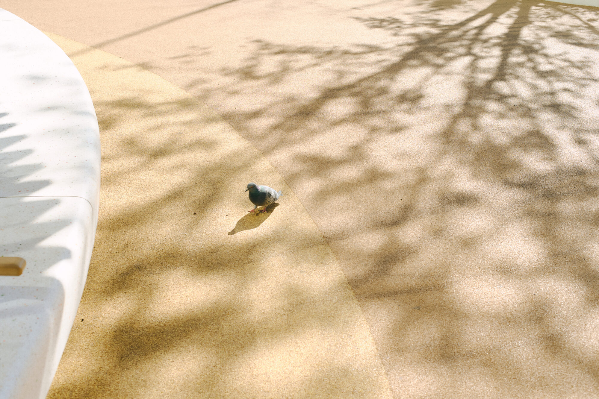 Homecomingsが編み直す、優しさの中にある抵抗と、強い意志。「寂しいまま、手を取り合えたらいい」