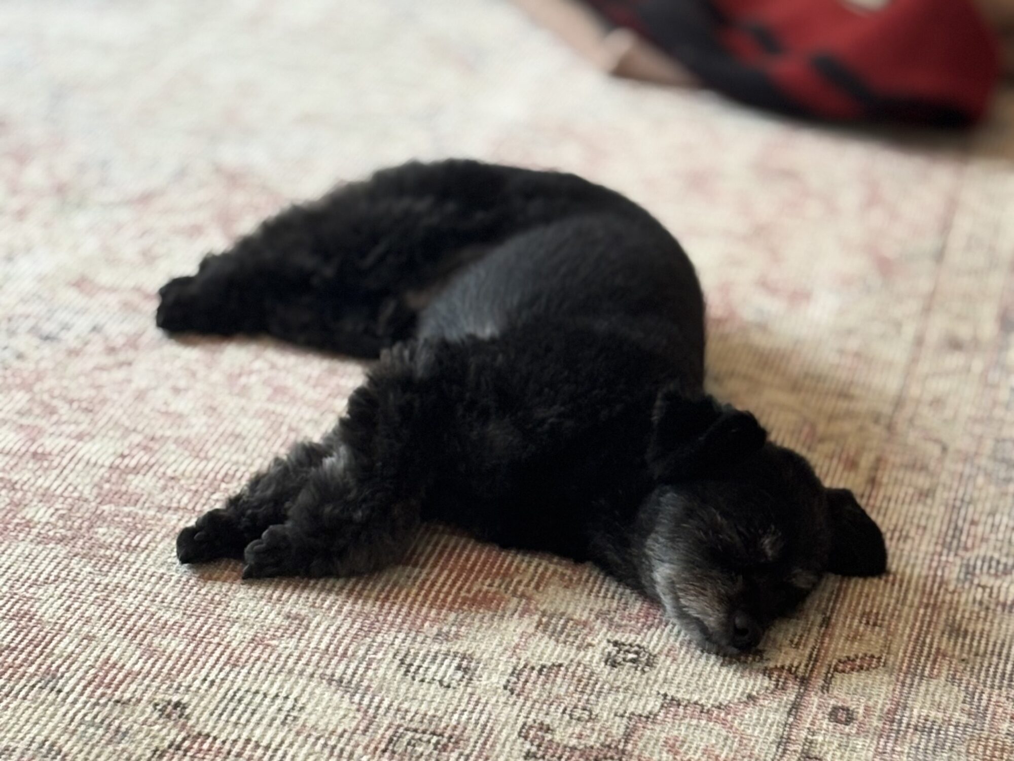 毎日同じ時間、同じところへ通うのは／石山蓮華