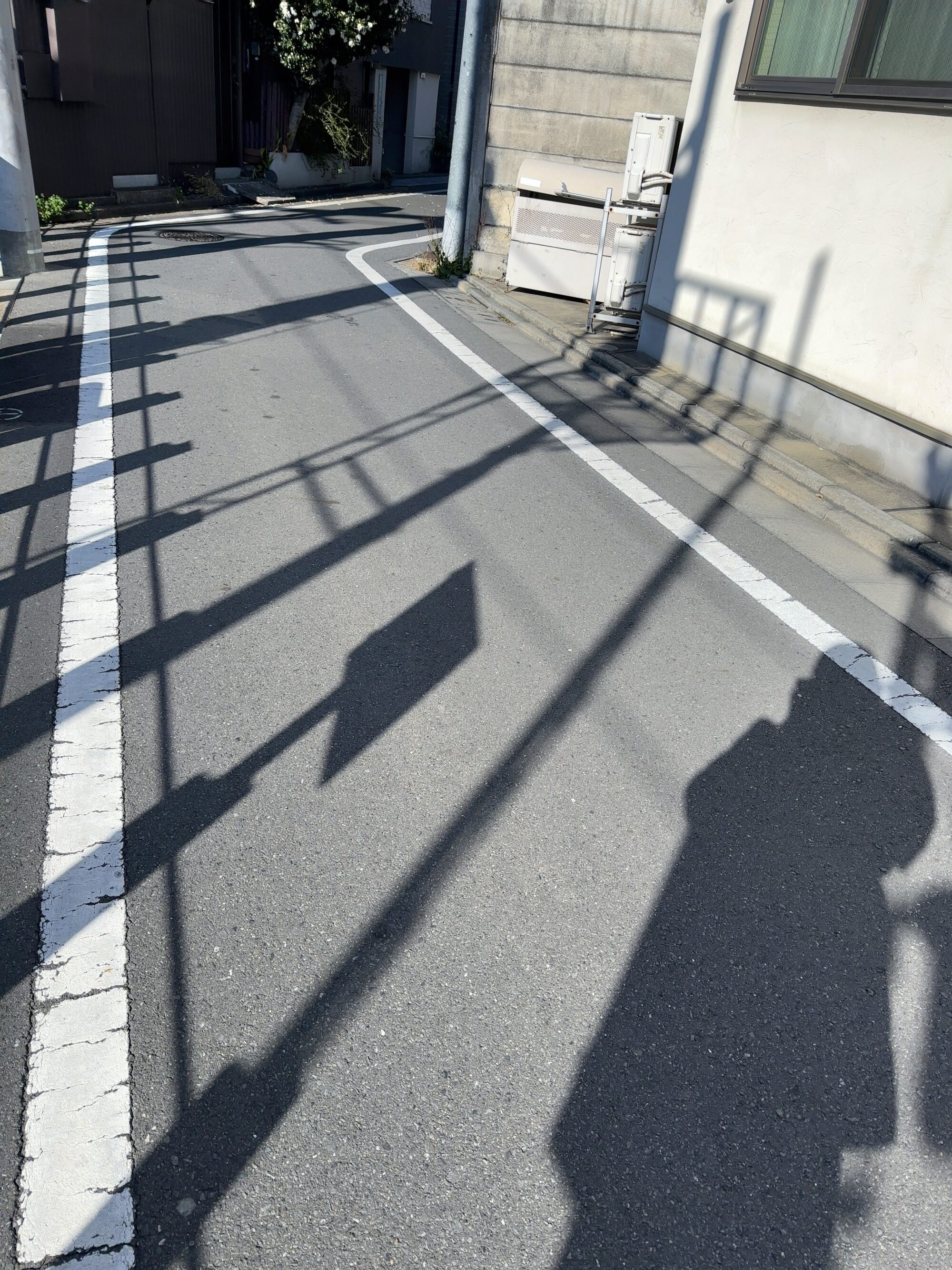 古いものに囲まれて、一人暮らしを気楽に続けていく。オカヤイヅミの暮らし